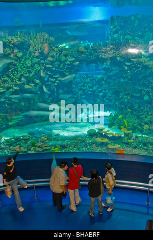 Peking, CHINA - Peking Zoo, Gruppenmenschen, chinesische Touristen beobachten lebende Tiere, innen, riesiges Fischaquarium Fenster Stockfoto