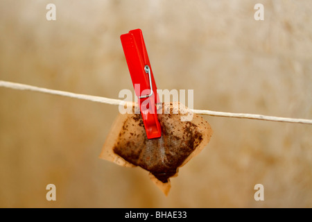 Teebeutel in einer Zeile hängen zum Trocknen benutzt Stockfoto