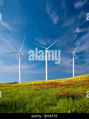 Schöne grüne Wiese mit Windkraftanlagen zur Stromerzeugung Stockfoto