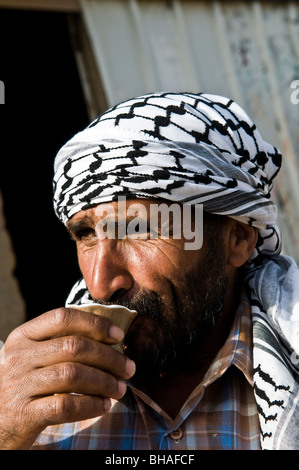 Beduinen in der Nähe von Jerusalem. Stockfoto