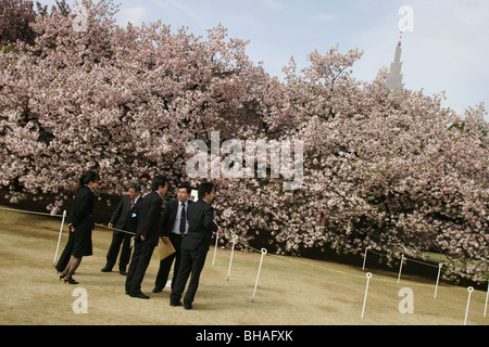 Gäste auf der "Sakura Hanami" (Blume Kirschblütenschau) Garten Party veranstaltet von Ministerpräsident Junichiro Koizumi, Tokio Stockfoto