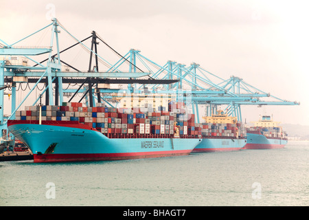Eine Flotte von Maersk Container Schiffe be- und Entladen Fracht im spanischen Hafen von Algeciras Stockfoto