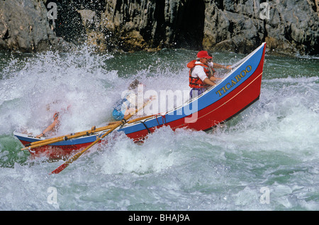 Dory laufen Crystal Stromschnellen am Colorado River, Grand Canyon National Park, Arizona, USA Stockfoto