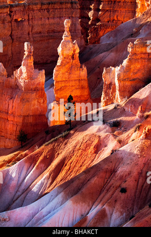 Malerische Aussicht auf Bryce Canyon südlichen Utah USA Stockfoto