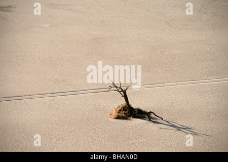 Hidden Vlei und Dead Vlei ausgetrocknet See Betten sind jetzt Salinen in der Namib-Wüste Stockfoto