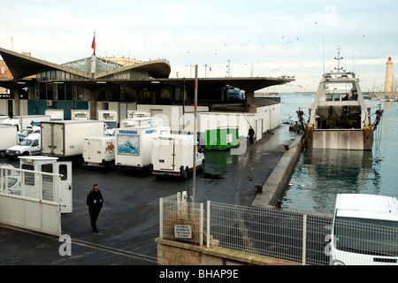 In Sète, Frankreich größte mediterrane Fischereihafen Mauren ein Trawler neben den Hafen Fisch Auktion Kai als Abend Ansätze Stockfoto