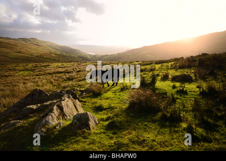 Geringer Sonneneinstrahlung Wolke zu durchbrechen und die Hügeln über dem Lake Windermere auf dem Kirkstone Pass in Cumbria auffällig. Stockfoto