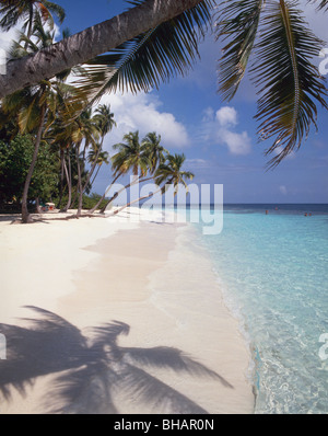 Strand mit Palmen, Malediven Stockfoto