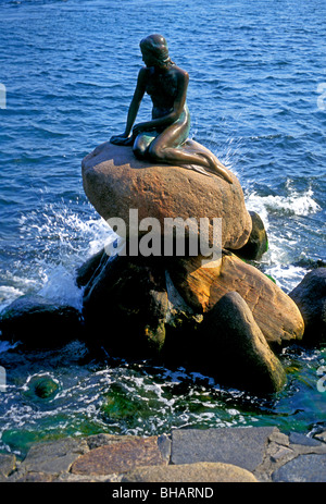 Kleine Meerjungfrau, lille havfrue, Bronze Statue, von dem dänischen Bildhauer Edvard Eriksen, Stadt Kopenhagen, Dänemark Stockfoto