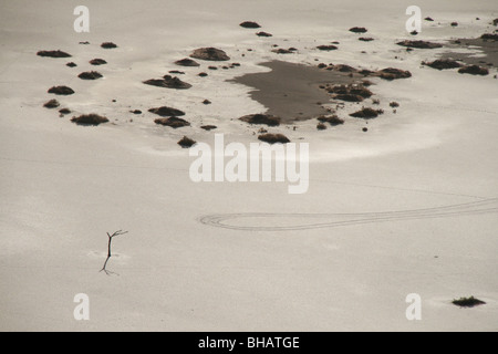 Hidden Vlei und Dead Vlei ausgetrocknet See Betten sind jetzt Salinen in der Namib-Wüste Stockfoto