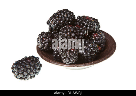 Brombeeren auf einer rein weißen Hintergrund isoliert Stockfoto