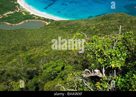 Schöne Caribbean Blick vom Mont Royal auf Canouan Island mit einem riesigen Leguan auf dem Ast Stockfoto