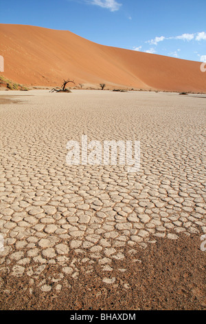 Hidden Vlei und Dead Vlei ausgetrocknet See Betten sind jetzt Salinen in der Namib-Wüste Stockfoto