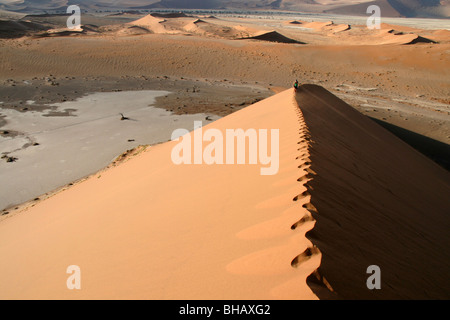 Wandern entlang der unberührten Grat einer riesigen roten Sanddüne in der Wüste von Namibia Stockfoto