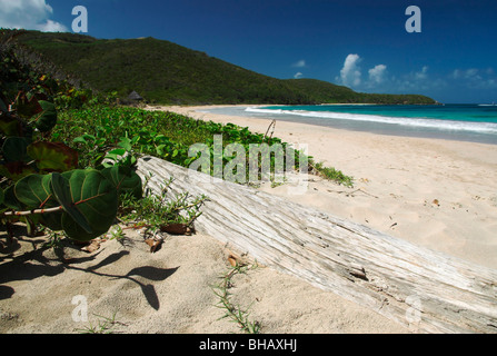 Schöner einsamer karibischer Strand auf Canouan Island mit Yacht auf den Horizont und die Sonne gebleicht Log im Vordergrund Stockfoto