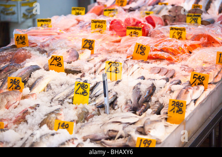 Fischmarkt in Chinatown in New York City Stockfoto