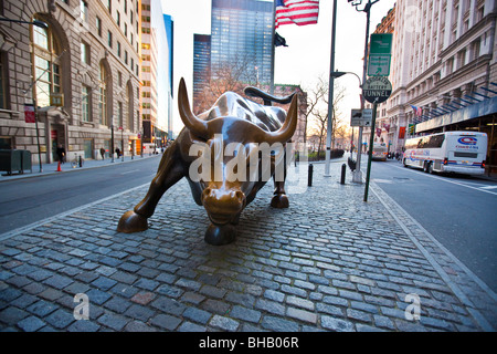 Wall Street Bull in Downtown Manhattan, NYC Stockfoto