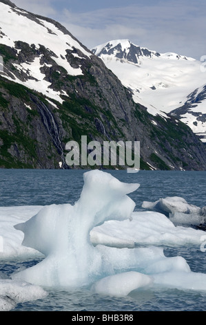 Eisberge in Portage Lake im Sommer, Yunan Alaska Stockfoto