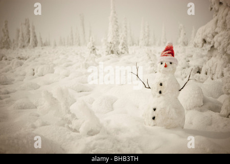 Schneemann mit rotem Schal und Fichtenwald, Winter, Weitwinkel von unten, Anchorage, Alaska Stockfoto