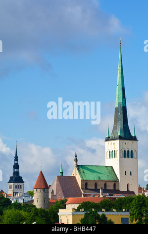 Die 124m hohen Turm der Oleviste Kirik (St. Olavs Kirche) dominiert die Skyline der Altstadt in Tallinn, Estland. Stockfoto