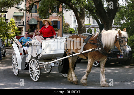 Wagen-Sightseeing-Trip, Savannah, Georgia, USA Stockfoto