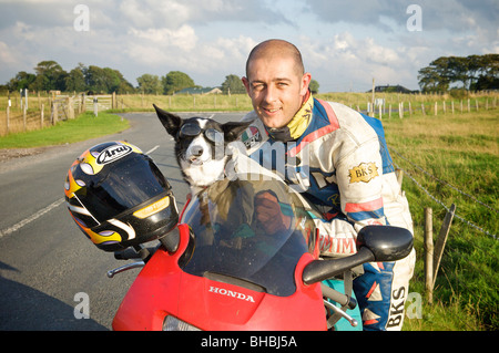 Border Collie Mia tragen doggles auf der Rückseite des Motorrad des Eigentümers Stockfoto