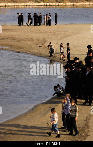 Israel, Tel Aviv, Tashlich Gebet der Premishlan Kongregation von Yarkon River Stockfoto