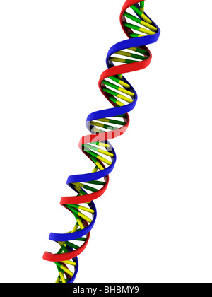 DNA-Doppelhelix-Modell Stockfoto