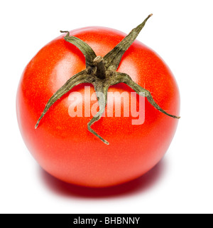 Tomato with part of vine attached Stockfoto