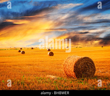 Goldener Sonnenuntergang über Feld-Hof mit Heuballen Stockfoto