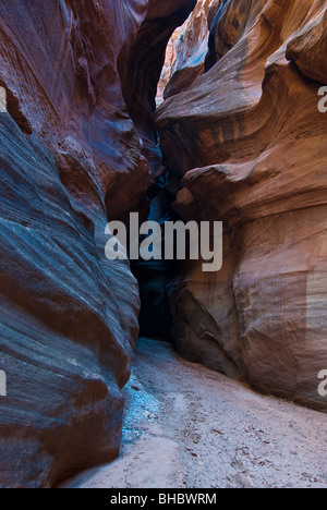 USA, Utah, Vermilion Cliffs NM, Paria Canyon-Vermilion Cliffs Wilderness. Buckskin Gulch ist der tiefste und längste US-Slotcanyon. Stockfoto