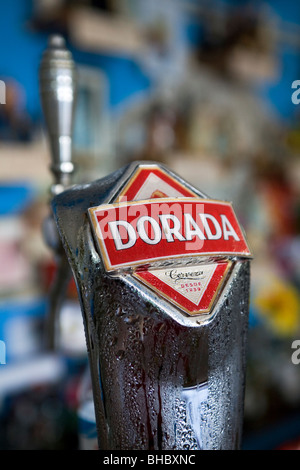 Eine Zapfanlage, trägt den Namen des lokalen Fischgründe-Biermarke Dorada. Das Bier wird in den Bars auf der Insel serviert. Stockfoto
