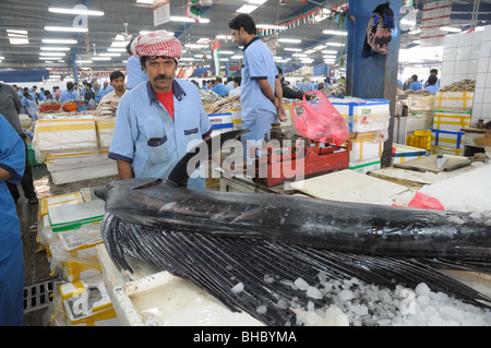 Fischmarkt von Dubai, Vereinigte Arabische Emirate Stockfoto