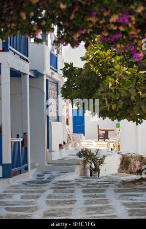 Typische Mykonos Straßenszene mit weiß getünchten Häusern, bunten blauen Türen und Fensterläden, Griechenland Stockfoto