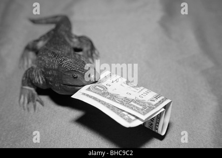 Hölzerne Komodowaran Eidechse Souvenir schnitzen bissige US-Dollar Bill Bank Banknote im Maul Stockfoto