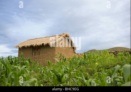 Adobe-Häusern in Maragua, Jalqa indigenen Gemeinschaft in Bolivien, in der Nähe von Sucre. Jalqa sind Quechua sprechende Menschen. Stockfoto