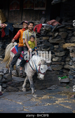 Ein Mönch reitet auf einem Pferd mit Vater und Sohn in BIHI im Bereich buddhistischen NUPRI - um MANASLU Trekking, NEPAL Stockfoto