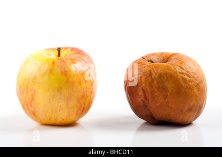 Zwei Äpfel, eine gute und eine faule, isoliert auf weißem Hintergrund Stockfoto