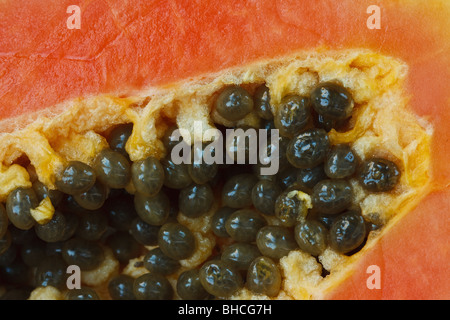 Nahaufnahme Bild der Papaya-Frucht mit Samen Stockfoto