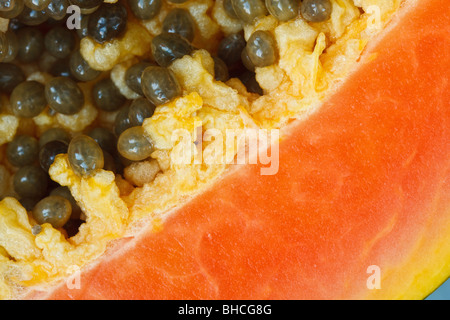 Nahaufnahme Bild der Papaya-Frucht mit Samen Stockfoto