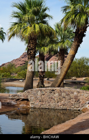 Steinerne Brücke bei Papago Park in Phoenix, Arizona Stockfoto