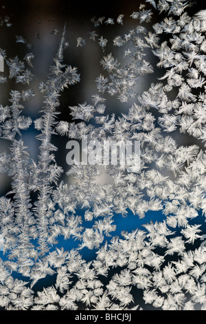 Maßwerk an einem frostigen Fenster Stockfoto