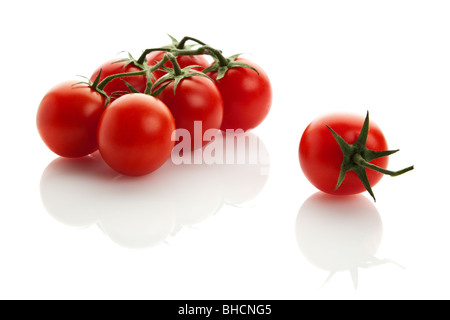 6 Tomaten auf ihre Reben und eine einzelne Tomate isoliert auf weißem Hintergrund, schwache Reflexion Stockfoto