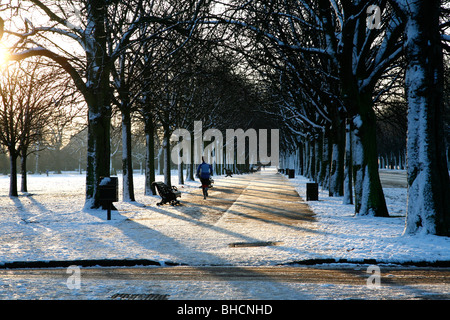 Schnee in Greenwich Park, Greenwich, London, UK Stockfoto