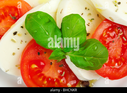 Nahaufnahme von Caprese Salat Mozzarella-Käse, Tomaten, Basilikum Stockfoto