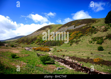 Blackseat Hill, Verbrühung Hill, den Cheviot Hills, Grafschaft Northumberland National Park, Northumbria, England, UK Stockfoto