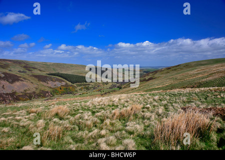 Cheviot Hills Nord Northumbria England Grenzen Stockfoto