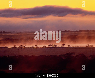 Morgennebel über Landschaft, Kushiro - shitsugen, Hokkaido, Japan Stockfoto