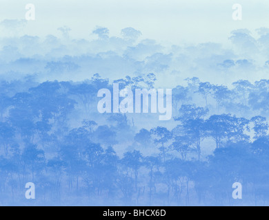 Morgennebel über Landschaft, Kushiro - shitsugen, Hokkaido, Japan Stockfoto