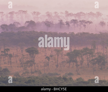 Morgennebel über Landschaft, Kushiro - shitsugen, Hokkaido, Japan Stockfoto